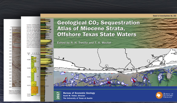 CO2 Sequestration Atlas of Miocene Strata, Offshore Texas State Waters