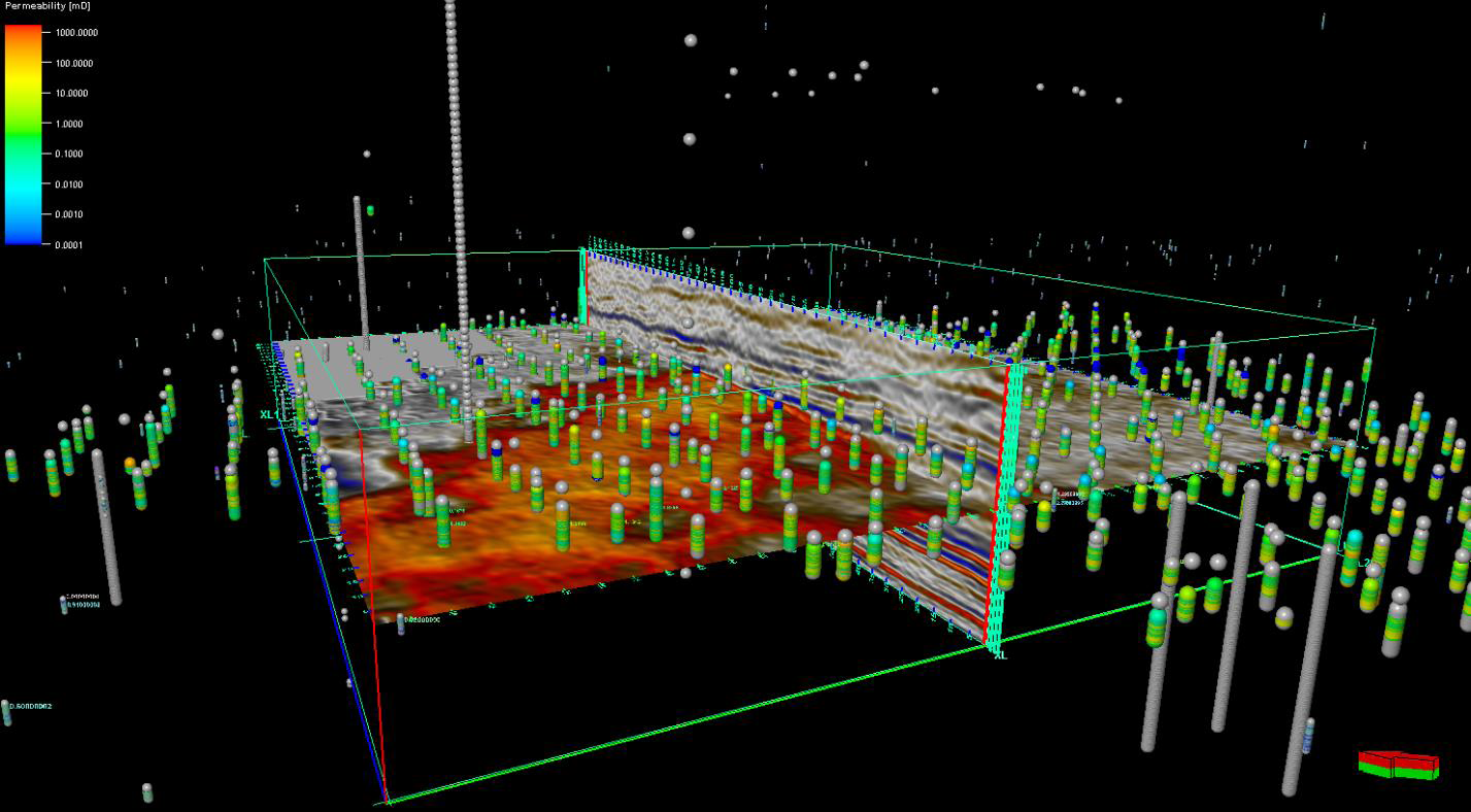 Reservoir seismic and well data