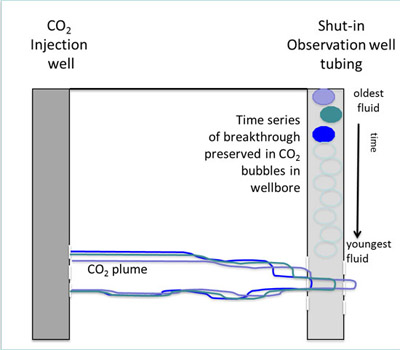 Sampling fluid in the shut-in well bore