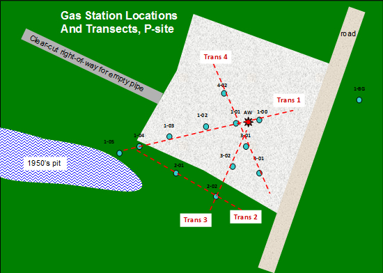 Schematic diagram of the P-site